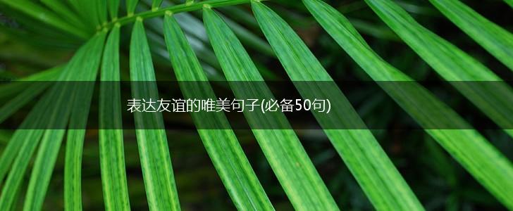 表达友谊的唯美句子(必备50句),第1张