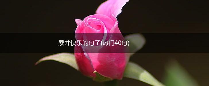 累并快乐的句子(热门40句),第1张 累并快乐的句子(热门40句),第1张