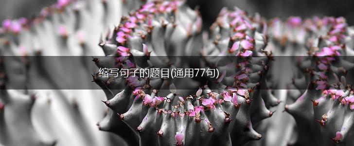 缩写句子的题目(通用77句),第1张 缩写句子的题目(通用77句),第1张