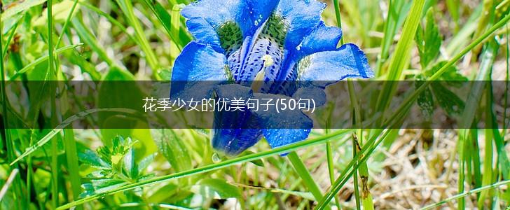 花季少女的优美句子(50句),第1张