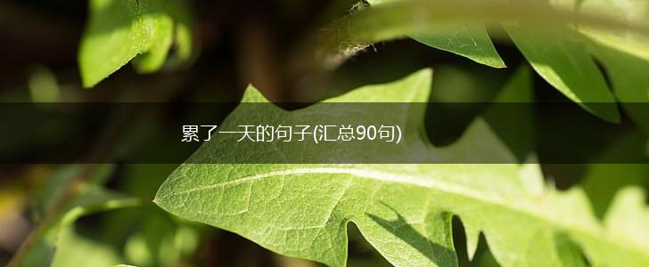 累了一天的句子(汇总90句),第1张