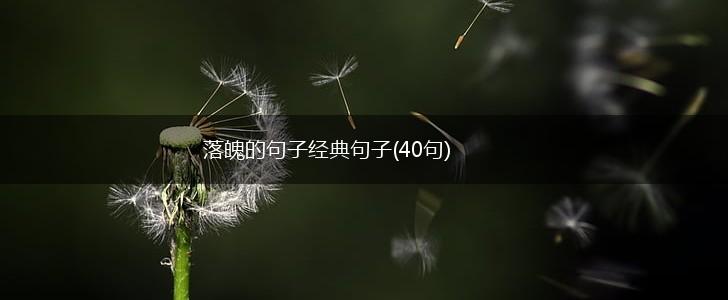 落魄的句子经典句子(40句),第1张 落魄的句子经典句子(40句),第1张