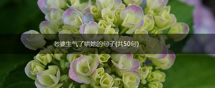 老婆生气了哄她的句子(共50句),第1张 老婆生气了哄她的句子(共50句),第1张