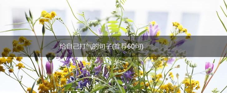 给自己打气的句子(推荐60句),第1张