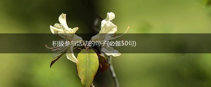 积极参与活动的句子(必备50句),第1张