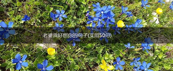 老婆我好想你的句子(实用50句),第1张