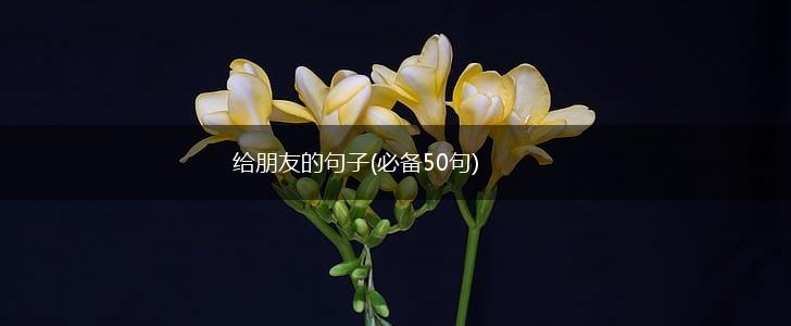 给朋友的句子(必备50句),第1张 给朋友的句子(必备50句),第1张
