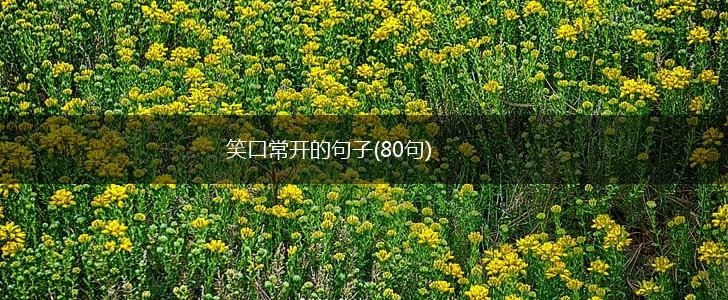 笑口常开的句子(80句),第1张