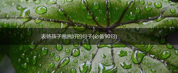 表扬孩子画画好的句子(必备90句),第1张