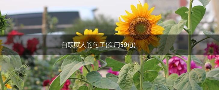 自欺欺人的句子(实用59句),第1张