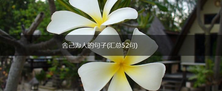 舍己为人的句子(汇总52句),第1张