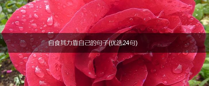自食其力靠自己的句子(优选24句),第1张