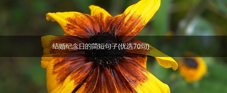 结婚纪念日的简短句子(优选70句),第1张