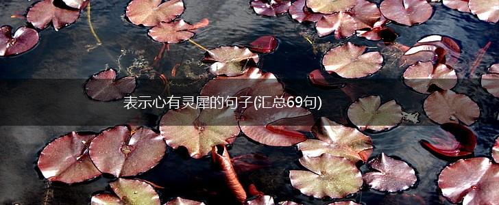 表示心有灵犀的句子(汇总69句),第1张