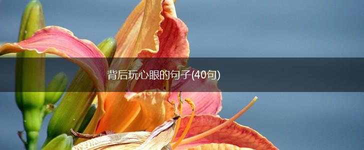 背后玩心眼的句子(40句),第1张 背后玩心眼的句子(40句),第1张