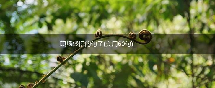 职场感悟的句子(实用60句),第1张
