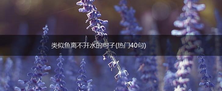 类似鱼离不开水的句子(热门40句),第1张 类似鱼离不开水的句子(热门40句),第1张