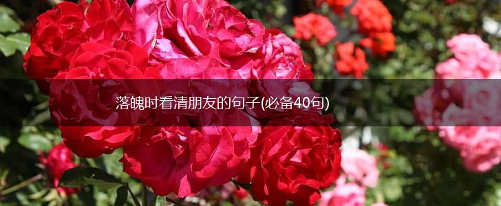 落魄时看清朋友的句子(必备40句),第1张