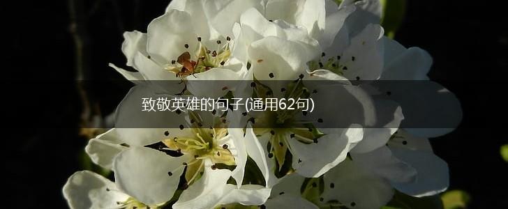 致敬英雄的句子(通用62句),第1张