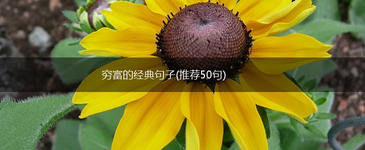 穷富的经典句子(推荐50句),第1张