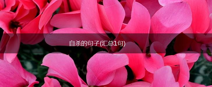 自杀的句子(汇总1句),第1张