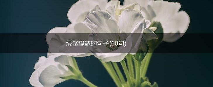 缘聚缘散的句子(60句),第1张