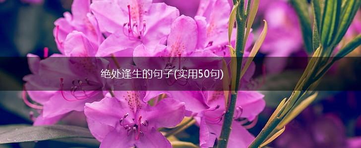 绝处逢生的句子(实用50句),第1张