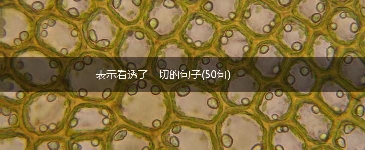 表示看透了一切的句子(50句),第1张