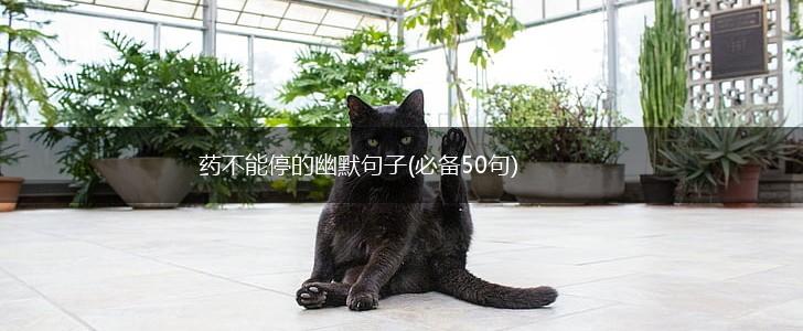 药不能停的幽默句子(必备50句),第1张