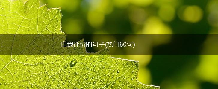 自我评价的句子(热门60句),第1张