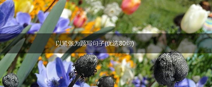 以紧张为题写句子(优选80句),第1张
