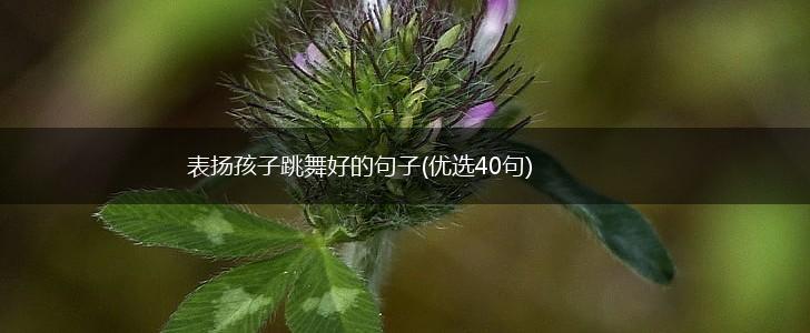 表扬孩子跳舞好的句子(优选40句),第1张