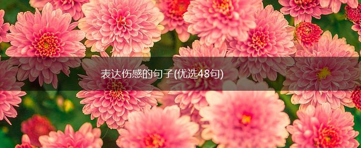 表达伤感的句子(优选48句),第1张