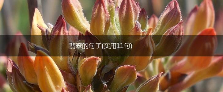 翡翠的句子(实用11句),第1张