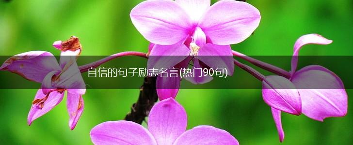 自信的句子励志名言(热门90句),第1张