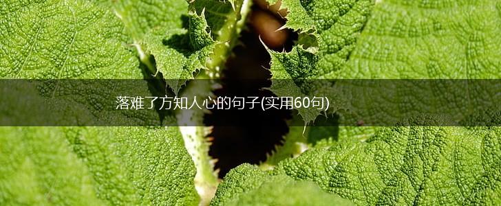 落难了方知人心的句子(实用60句),第1张