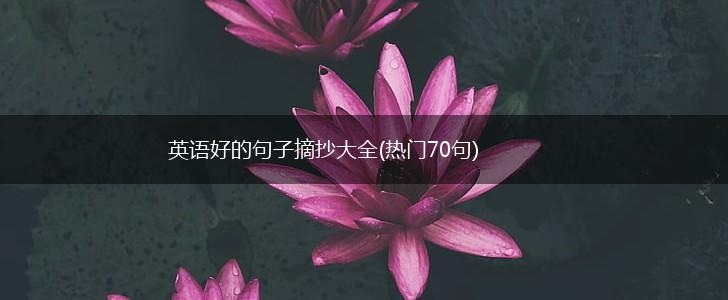 英语好的句子摘抄大全(热门70句),第1张