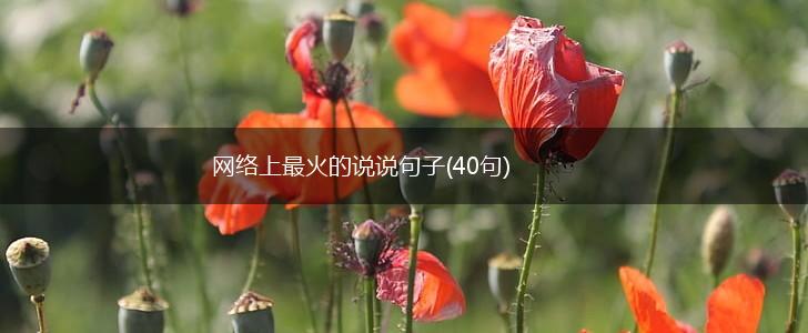 网络上最火的说说句子(40句),第1张