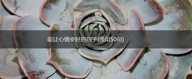能让心情变好的句子(通用50句),第1张