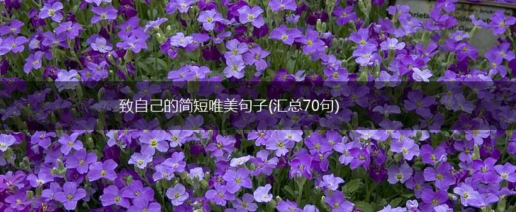 致自己的简短唯美句子(汇总70句),第1张