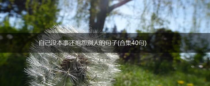 自己没本事还抱怨别人的句子(合集40句),第1张