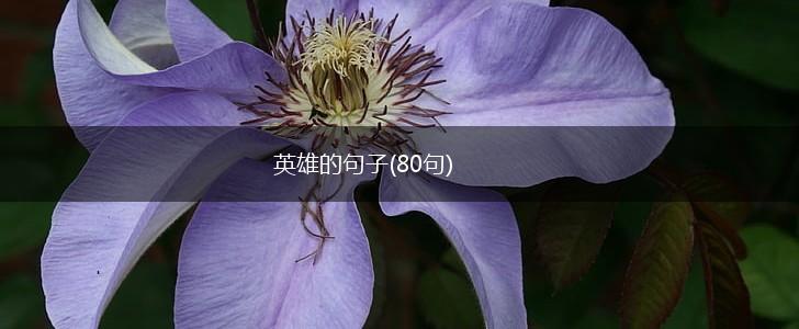 英雄的句子(80句),第1张