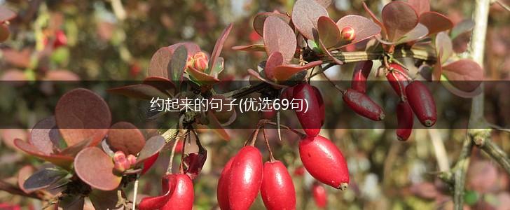 约起来的句子(优选69句),第1张