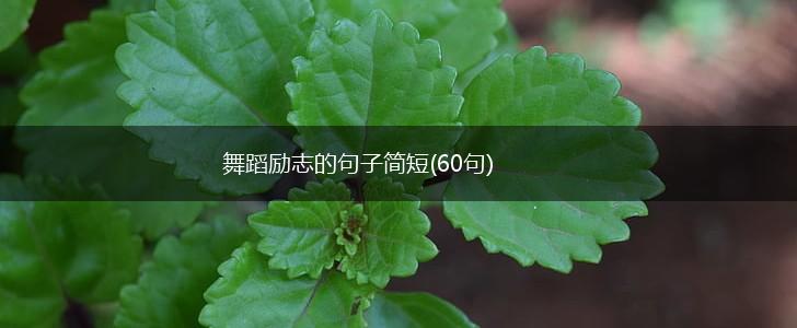 舞蹈励志的句子简短(60句),第1张