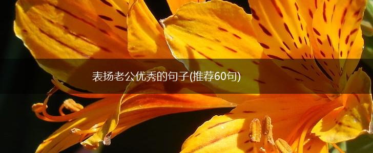 表扬老公优秀的句子(推荐60句),第1张