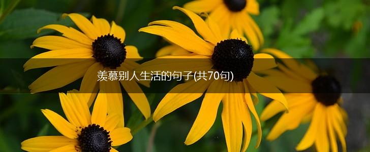 羡慕别人生活的句子(共70句),第1张