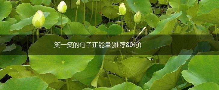 笑一笑的句子正能量(推荐80句),第1张