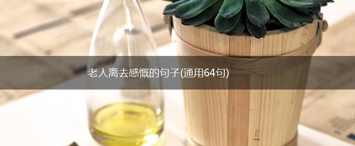 老人离去感慨的句子(通用64句),第1张 老人离去感慨的句子(通用64句),第1张