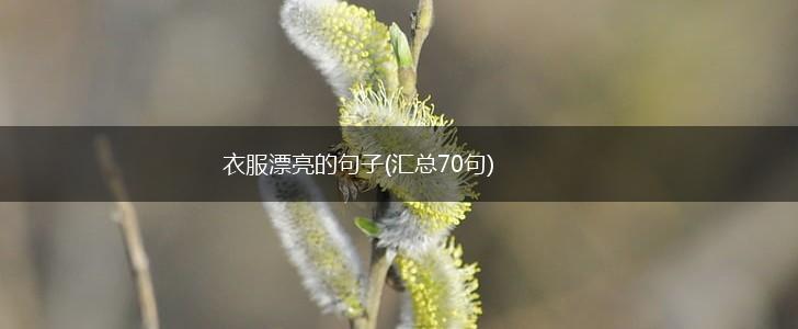 衣服漂亮的句子(汇总70句),第1张