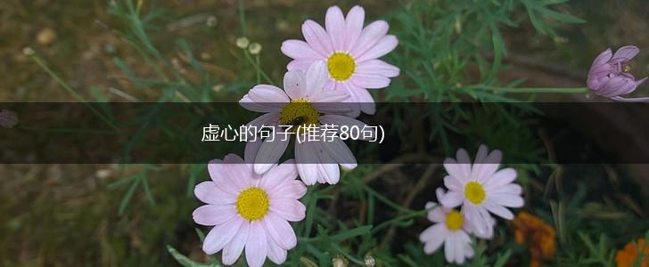 虚心的句子(推荐80句),第1张